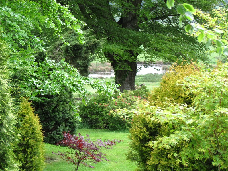 Dartmoor B&B Langworthy Farm Bed and Breakfast, in the Moor